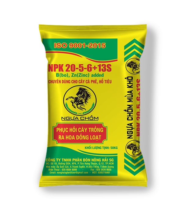 NGỰA CHỒM MÙA KHÔ 20-5-6-13S